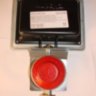 DSC04591_enl_300.JPG